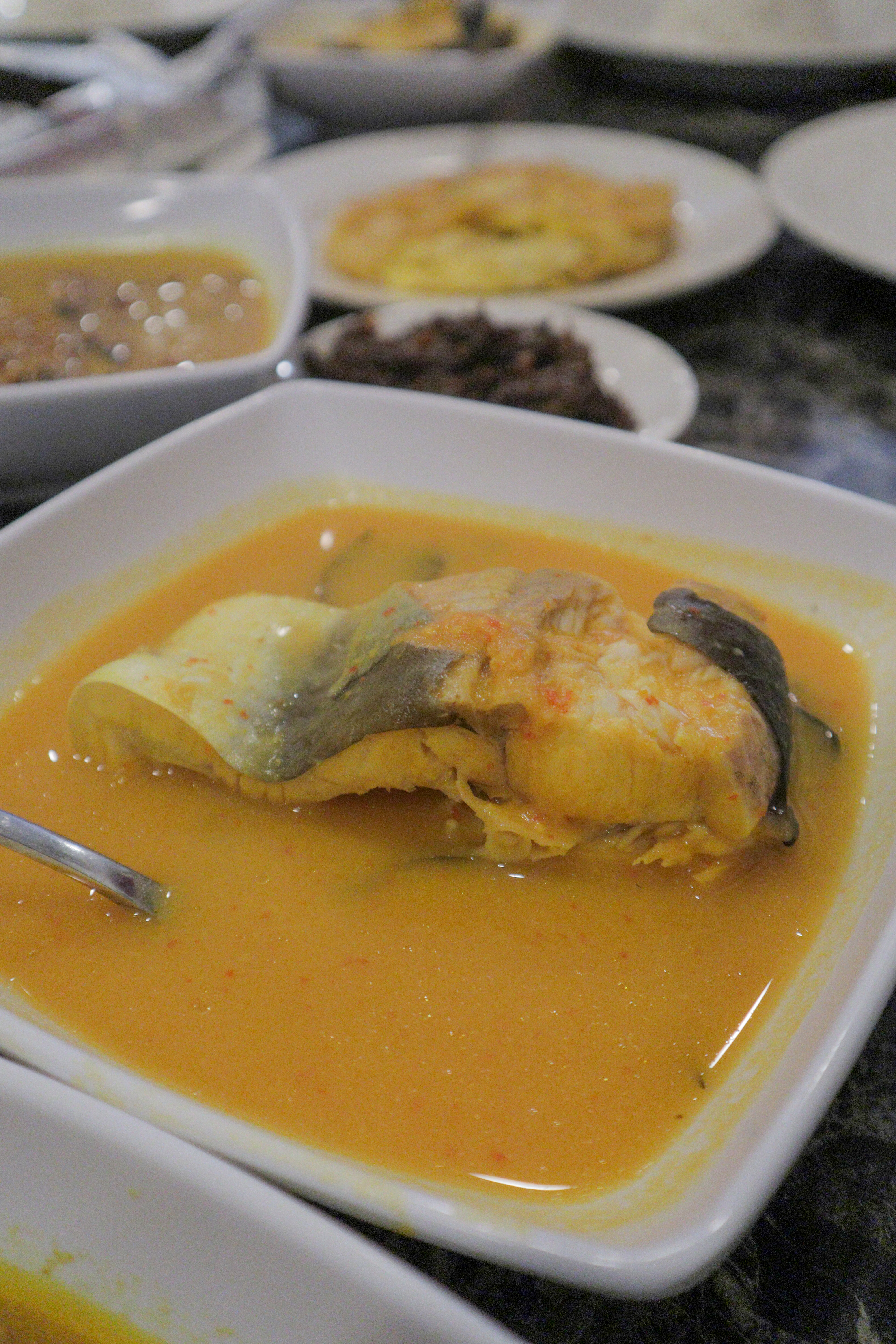 House of Patin (2nd visit), KL City Centre - Thokohmakan