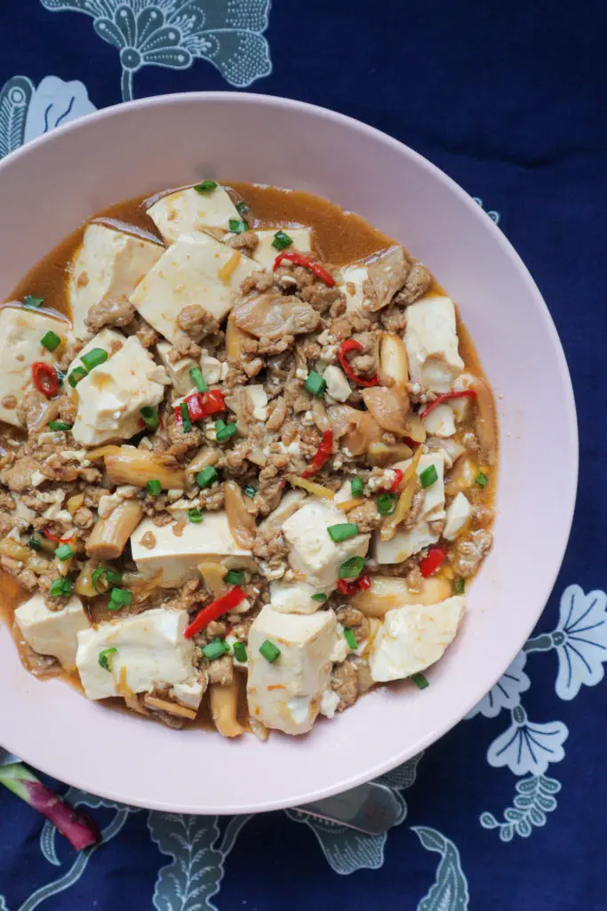 Tofu with minced meat in gravy [RECIPE]