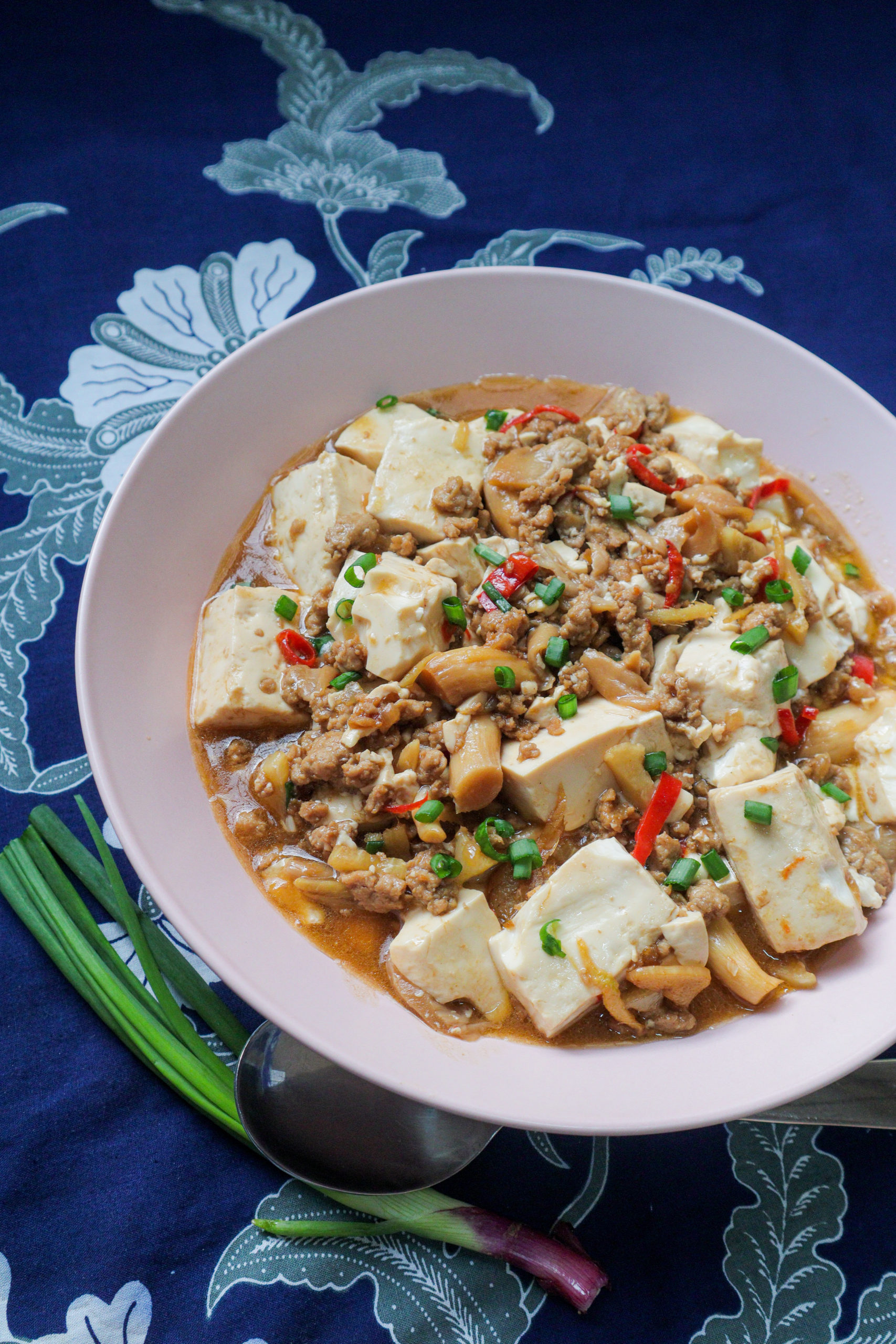 Tofu with minced meat in gravy [RECIPE] Thokohmakan