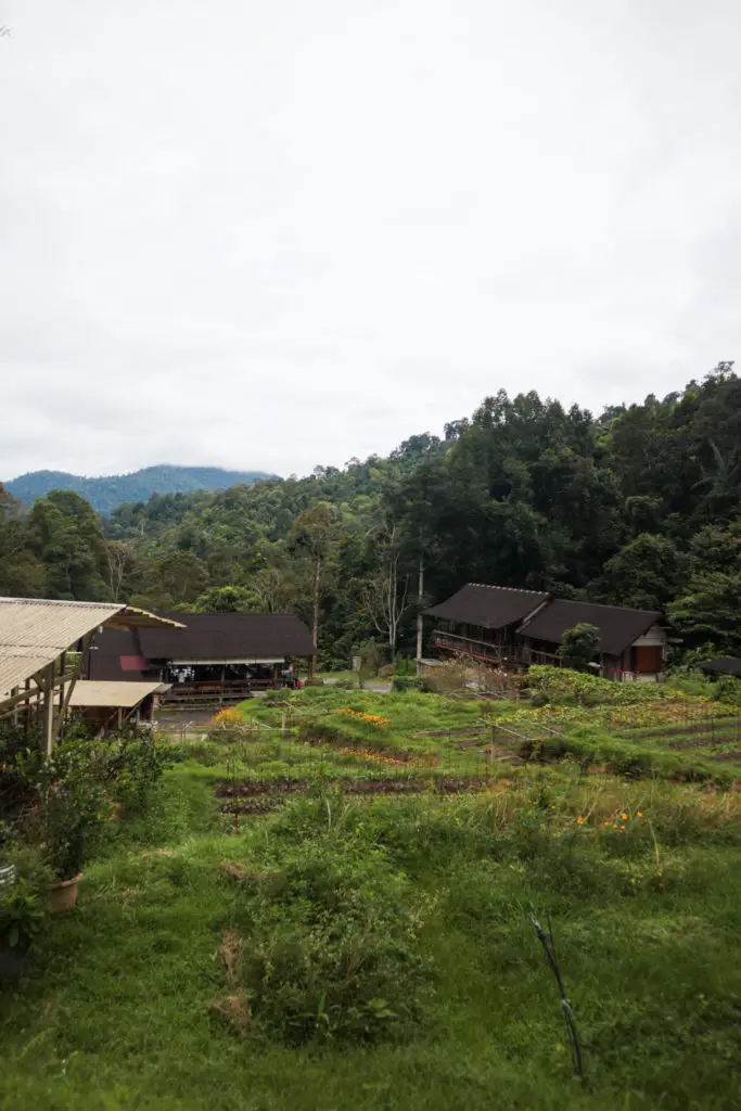 A Little Farm on the Hill