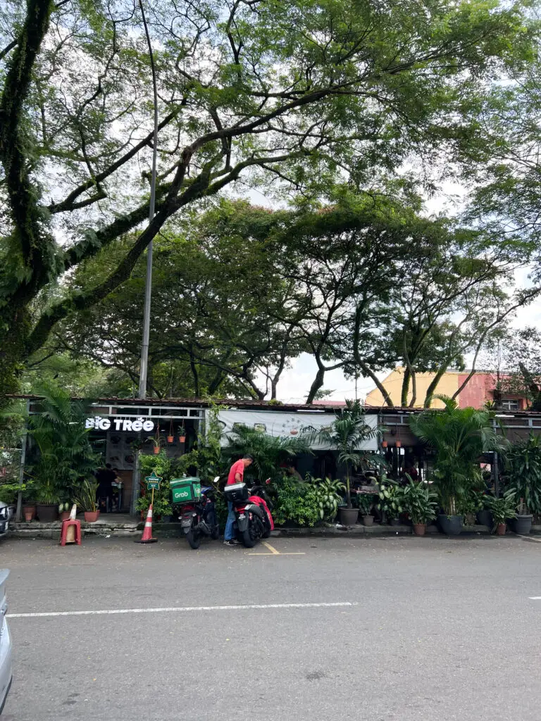 Big Tree Hakka Pan Mee