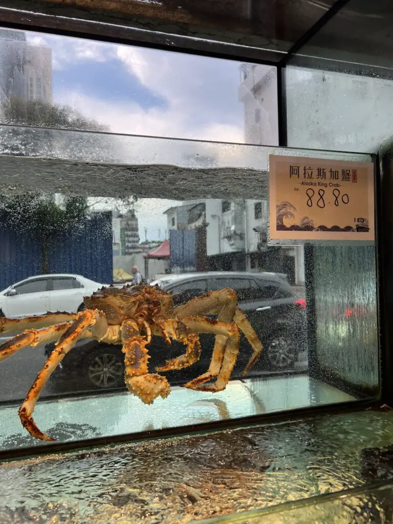 Steam Era Seafood
