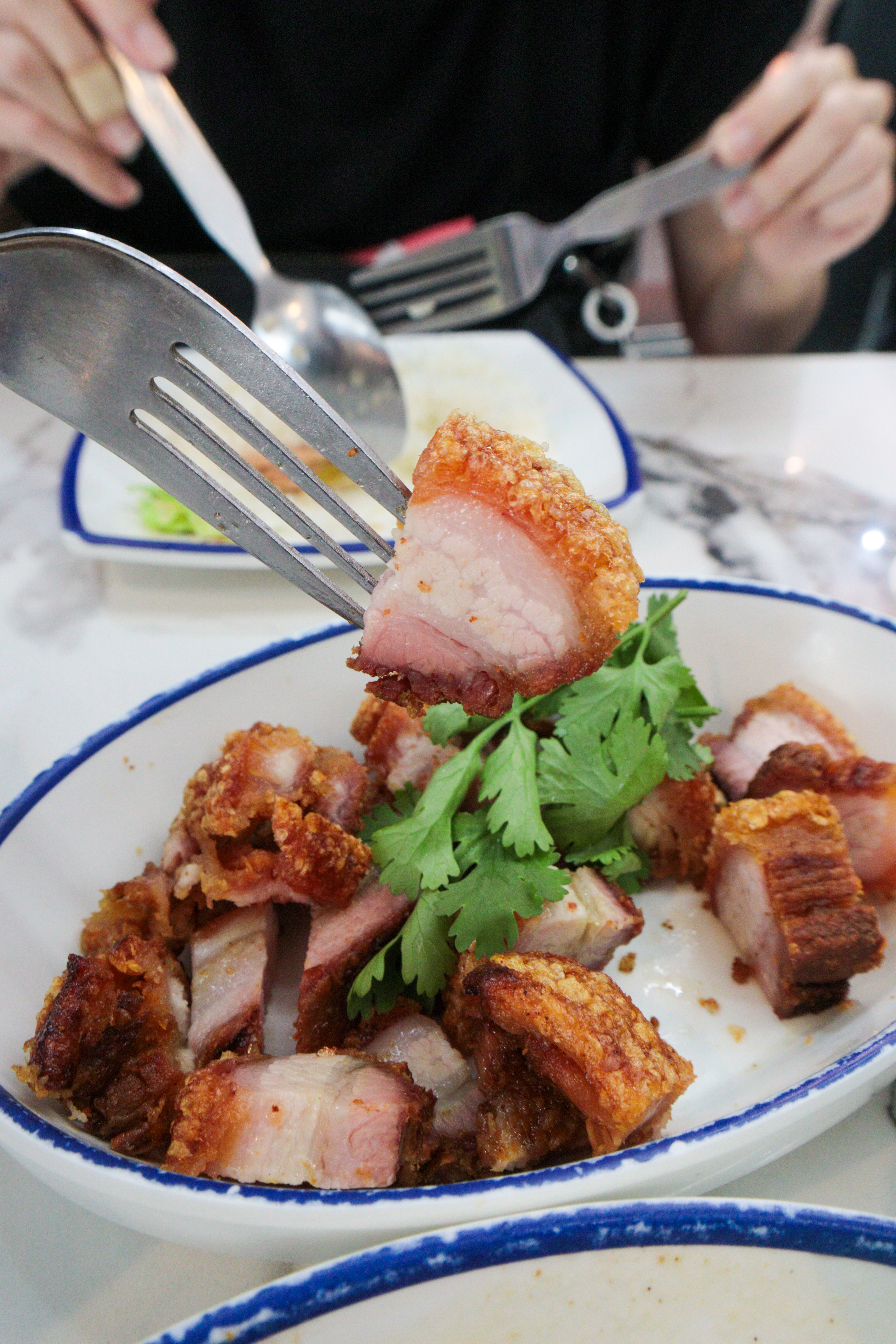 Mueang Thong Pork Knuckle Rice