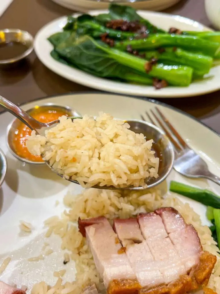 Easy Chicken Rice SS2