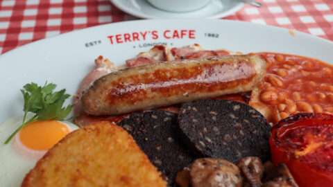 Terry's Cafe