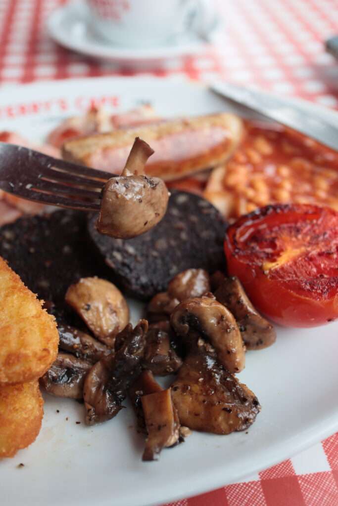 Terry's Cafe